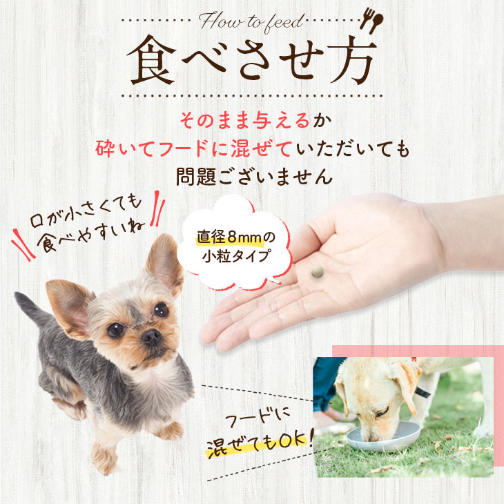 【いぬだペプチド 60粒】シニア犬 サプリ｜関節 免疫 胃腸 健康をサポート 緑イ貝 プロテオグリカン イミダゾールペプチド コラーゲン 乳酸菌 老犬 サプリメント |  | 17
