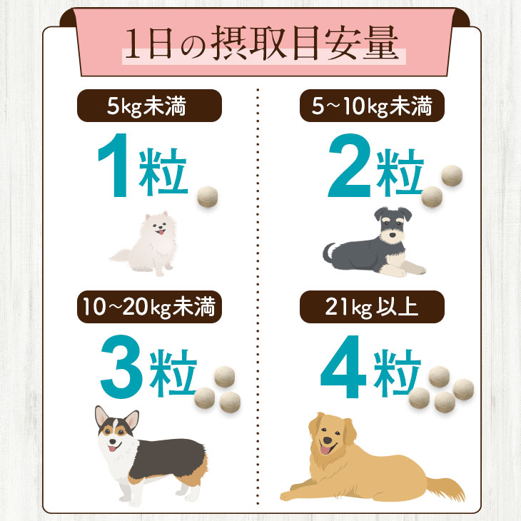 【いぬだペプチド 60粒】シニア犬 サプリ｜関節 免疫 胃腸 健康をサポート 緑イ貝 プロテオグリカン イミダゾールペプチド コラーゲン 乳酸菌 老犬 サプリメント |  | 18