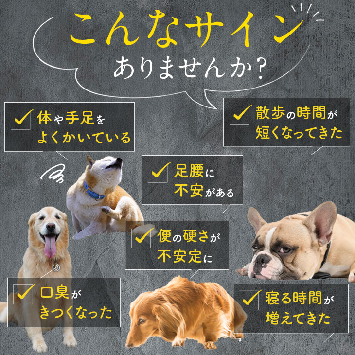 【いぬだペプチド 60粒】シニア犬 サプリ｜関節 免疫 胃腸 健康をサポート 緑イ貝 プロテオグリカン イミダゾールペプチド コラーゲン 乳酸菌 老犬 サプリメント |  | 01