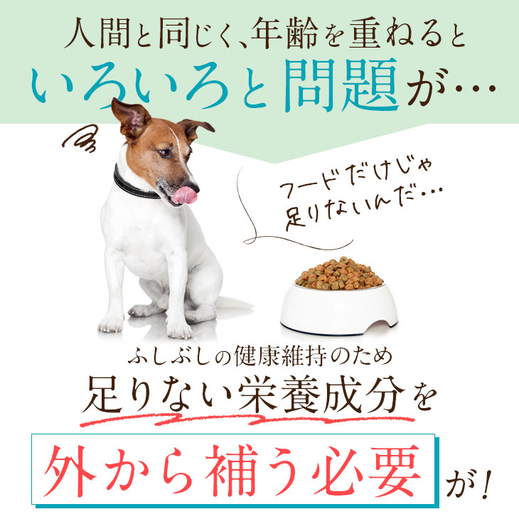 【いぬだペプチド 60粒】シニア犬 サプリ｜関節 免疫 胃腸 健康をサポート 緑イ貝 プロテオグリカン イミダゾールペプチド コラーゲン 乳酸菌 老犬 サプリメント |  | 02