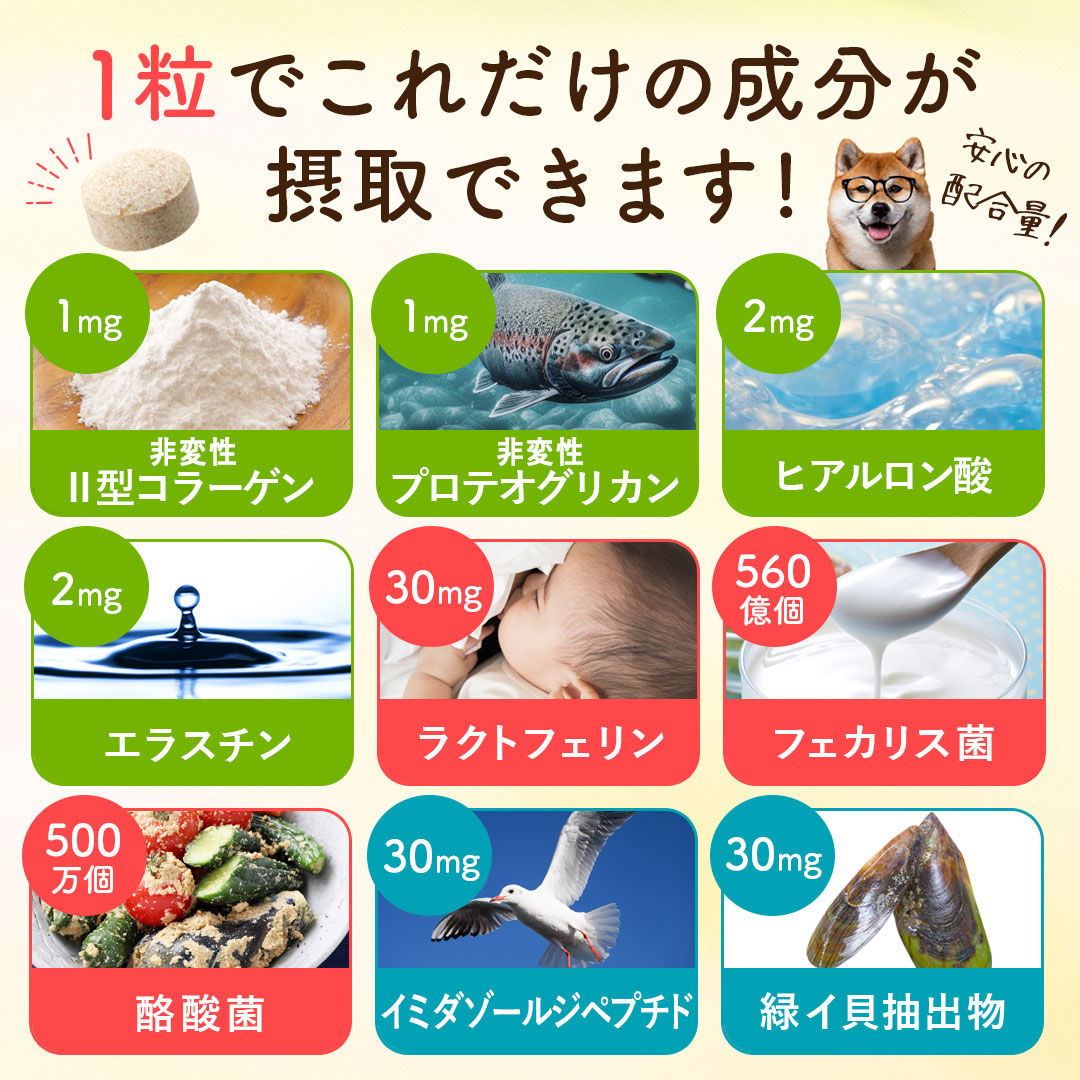 【いぬだペプチド 60粒】シニア犬 サプリ｜関節 免疫 胃腸 健康をサポート 緑イ貝 プロテオグリカン イミダゾールペプチド コラーゲン 乳酸菌 老犬 サプリメント |  | 05