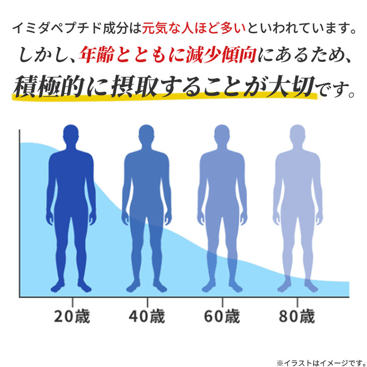イミダペプチド イミダゾールジペプチド 疲労回復 日本予防医薬 機能性表示食品