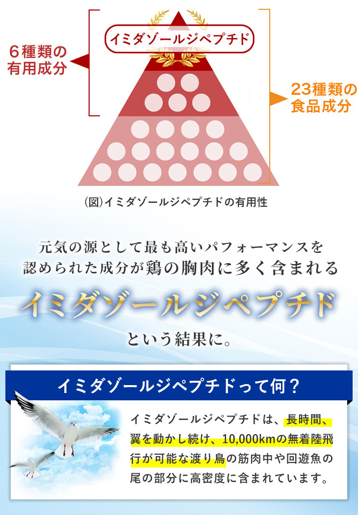 イミダペプチド ソフトカプセル お試し 送料無料 疲れ 疲労回復 日本予防医薬