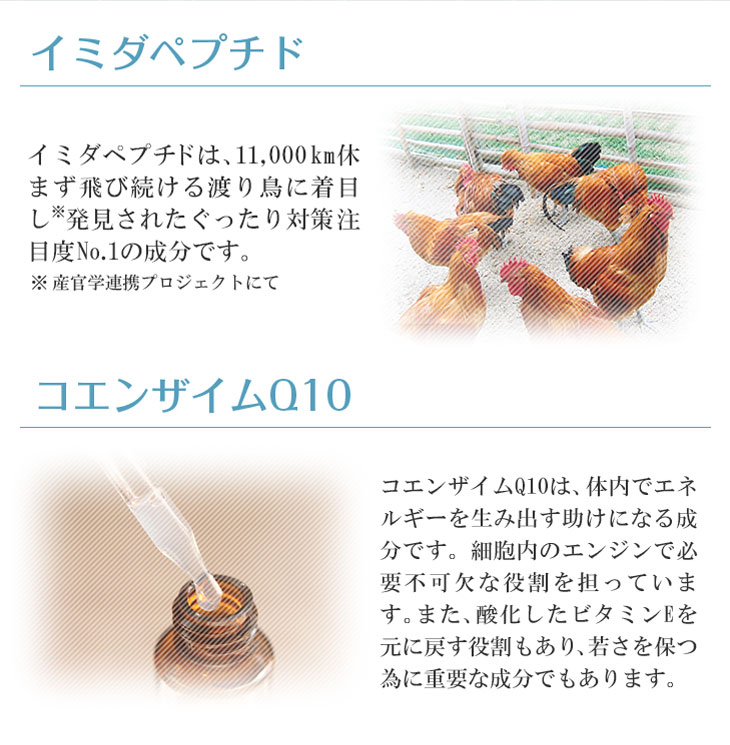 イミダペプチドQ10タブレット 120粒 約30日分 コエンザイムQ10 水溶化還元型 イミダゾールジペプチド 日本予防医薬 鶏胸肉 イミダゾール サプリ 美容 イミダ | 日本予防医薬 | 02