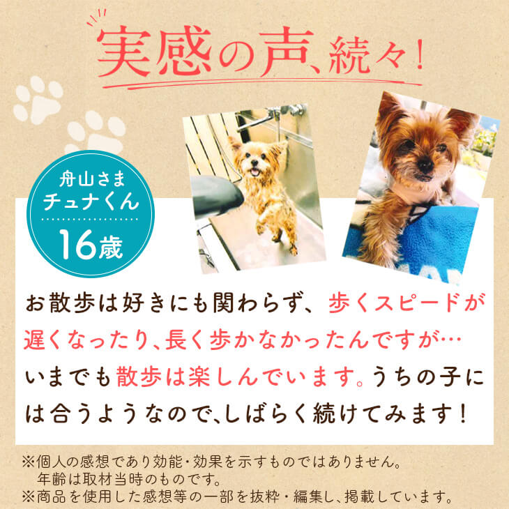 【いぬだペプチド 60粒】シニア犬 サプリ｜関節 免疫 胃腸 健康をサポート 緑イ貝 プロテオグリカン イミダゾールペプチド コラーゲン 乳酸菌 老犬 サプリメント |  | 14