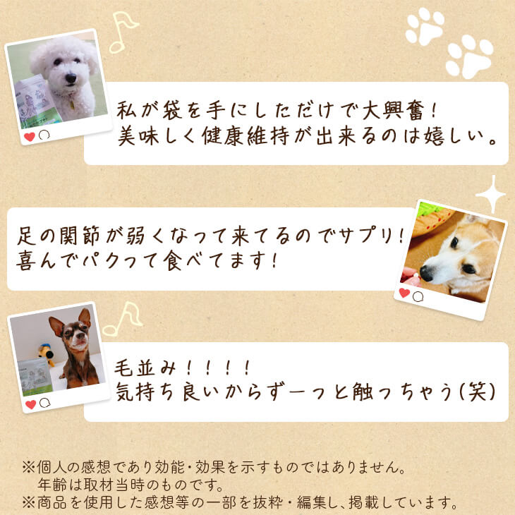 【いぬだペプチド 60粒】シニア犬 サプリ｜関節 免疫 胃腸 健康をサポート 緑イ貝 プロテオグリカン イミダゾールペプチド コラーゲン 乳酸菌 老犬 サプリメント |  | 16