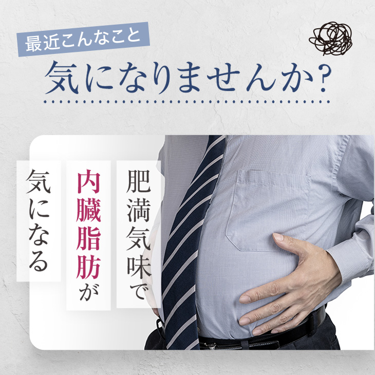 「初回30%OFF」 【特定保健指導で採用】ダイエット サプリ お試し 30日分 ラクトフェリン お腹の脂肪を減らす 腸溶性 内臓脂肪 腸ラクトフェリン 機能性表示食品 | 日本予防医薬 | 02