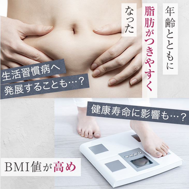 「初回30%OFF」 【特定保健指導で採用】ダイエット サプリ お試し 30日分 ラクトフェリン お腹の脂肪を減らす 腸溶性 内臓脂肪 腸ラクトフェリン 機能性表示食品 | 日本予防医薬 | 03
