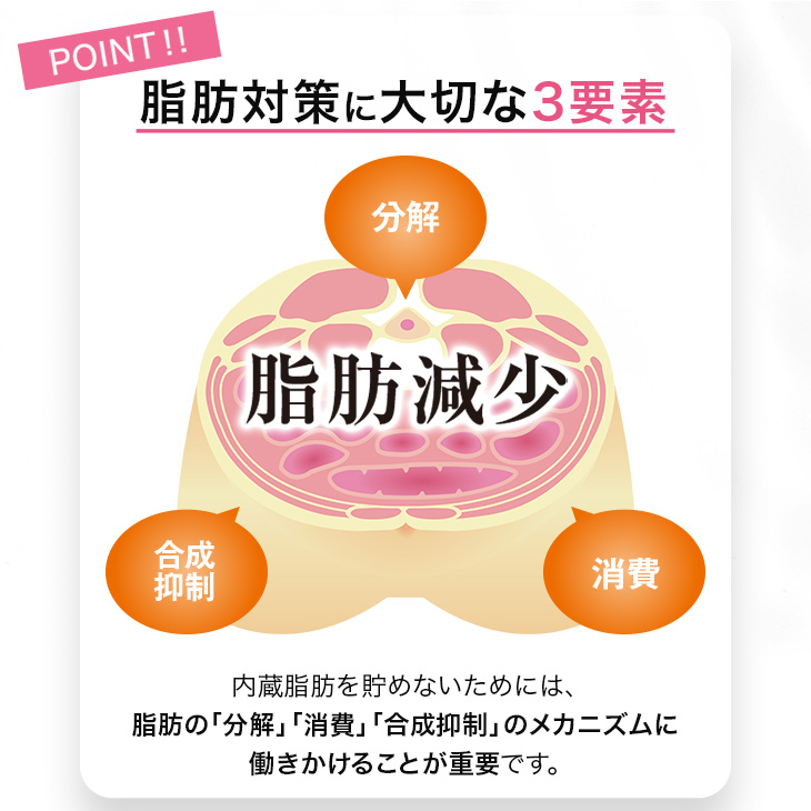「初回30%OFF」 【特定保健指導で採用】ダイエット サプリ お試し 30日分 ラクトフェリン お腹の脂肪を減らす 腸溶性 内臓脂肪 腸ラクトフェリン 機能性表示食品 | 日本予防医薬 | 06