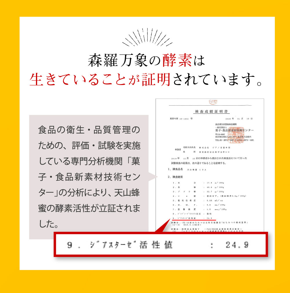 森羅万象 はちみつ 600g 天山蜂蜜 完熟 非加熱 奇跡の 生はちみつ