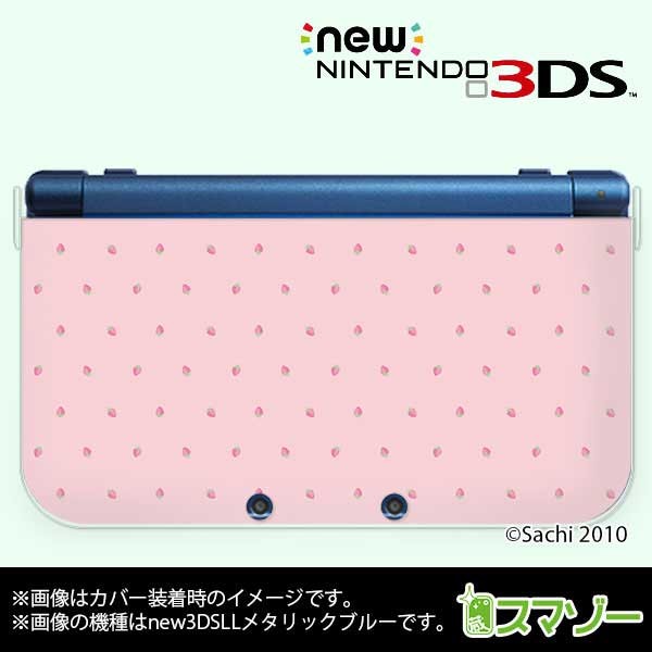 new3dsll_dsachi011.jpg