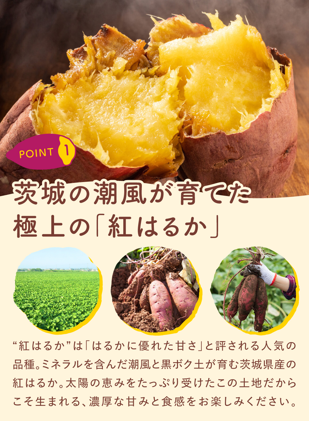 芋國屋 父の日 2026 干し芋 国産 訳あり 紅はるか 2kg 無添加 ほしいも