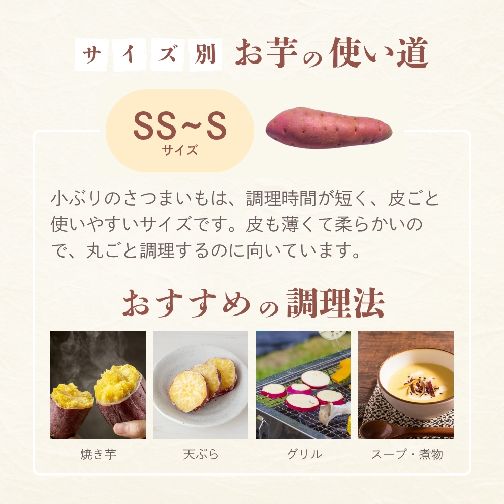 2025年 新芋 シルクスイート さつまいも 5kg 茨城 箱 さつま芋 甘い 生