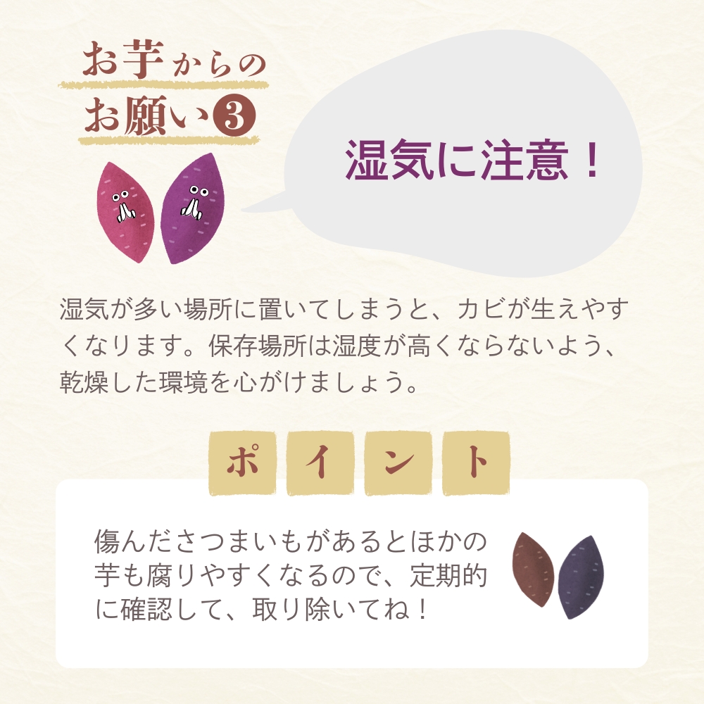 2025年 新芋 シルクスイート さつまいも 5kg 茨城 箱 さつま芋 甘い 生