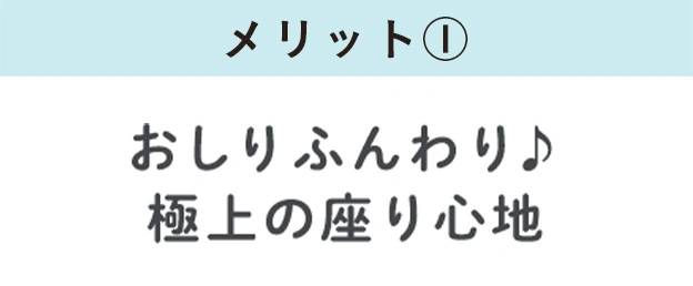 トラベル グリップ シットエアー