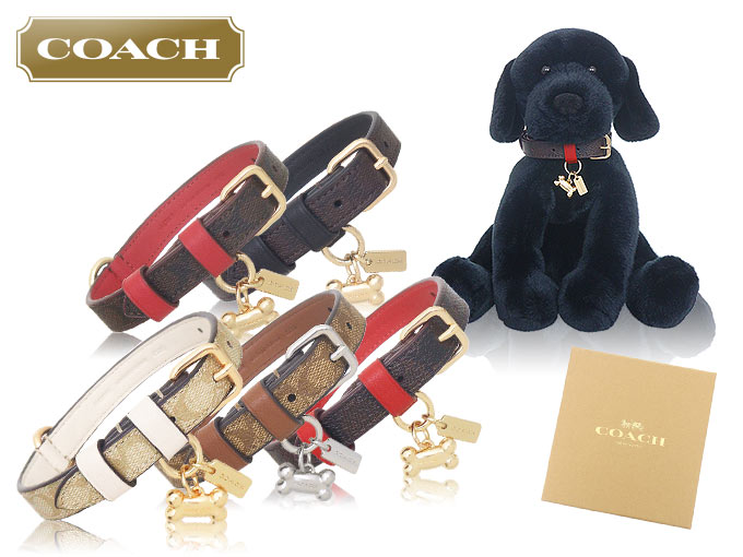 COACH(コーチ)小型犬用首輪 CX158-IMXHE COACH コーチ 犬小物 首輪 小型犬用 FCX158 CX158 ウォルナット