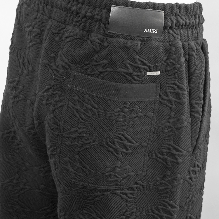 amiri29012610_9.jpg
