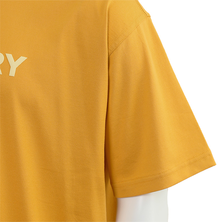 BURBERRY バーバリー Tシャツ ハリストン ロゴプリント コットン