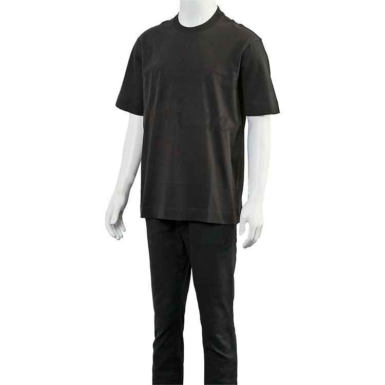 EMPORIO ARMANI エンポリオ アルマーニ Tシャツ ジャガードロゴ