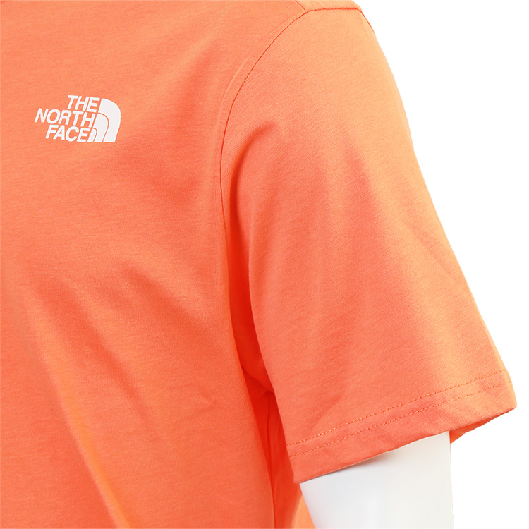 THE NORTH FACE ノースフェイス Tシャツ EUモデル ダスティ