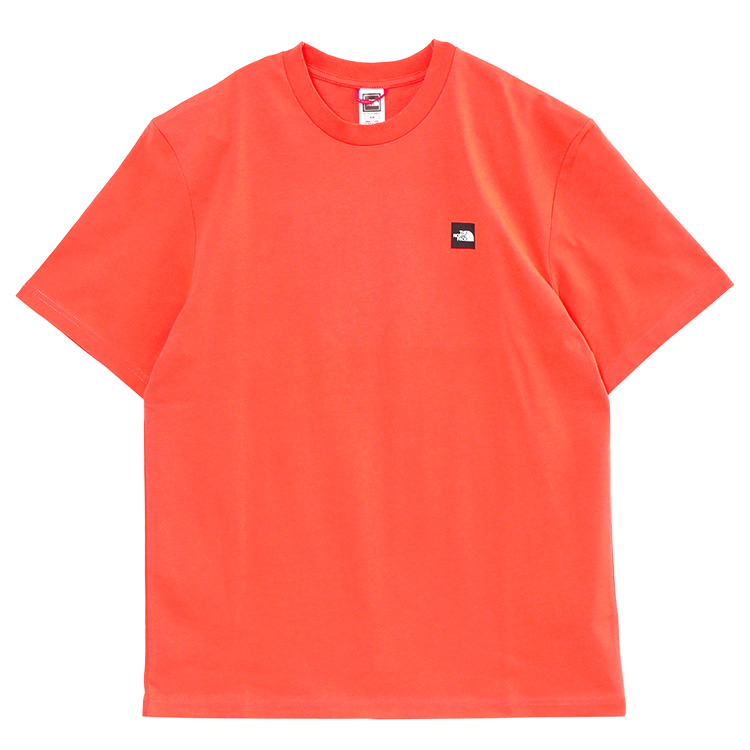 THE NORTH FACE ノースフェイス Tシャツ バックプリント EU