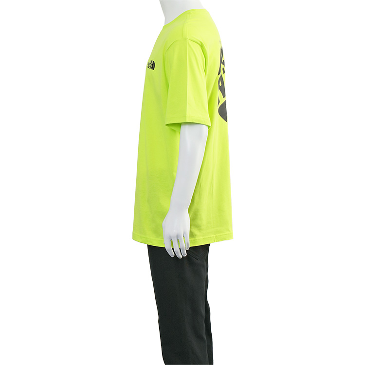 THE NORTH FACE ノースフェイス Tシャツ フェスティバル ティー
