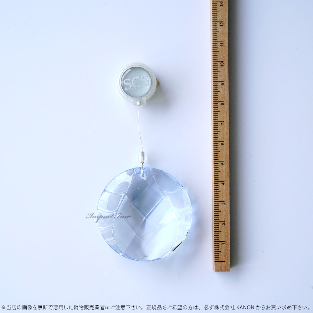 SWAROVSKI（スワロフスキー） 2009年 SCS会員限定 ウィンドー