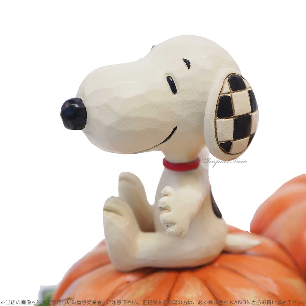 ジムショア スヌーピー＆チャーリー ウィズ パンプキン ピーナッツ 6008962 Jim Shore Peanuts Snoopy and  Charlie Brown Pumpkin Treats ギフト プレゼント :jim6008962:インポートファン - 通販 -  Yahoo!ショッピング