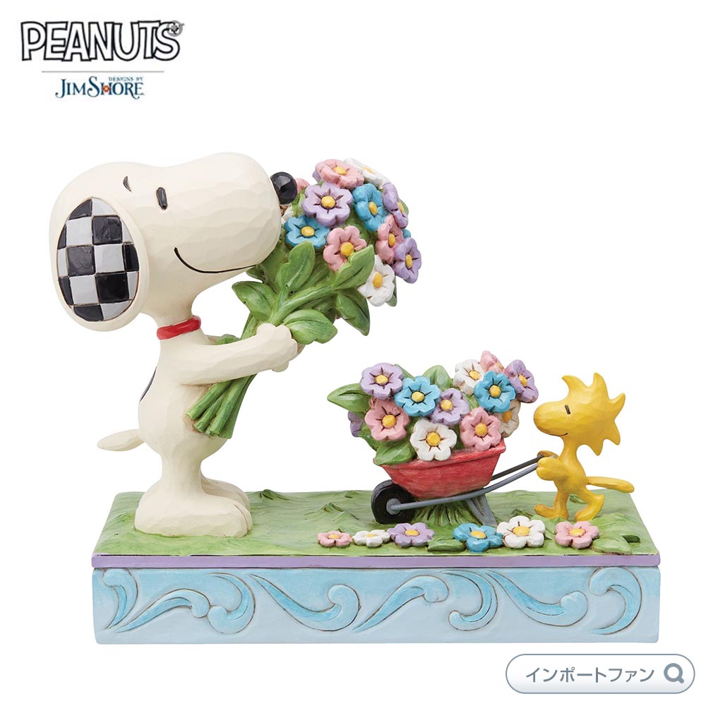 ジムショア
