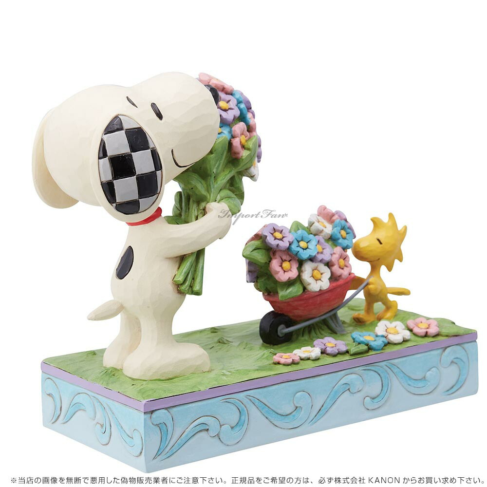 ジムショア