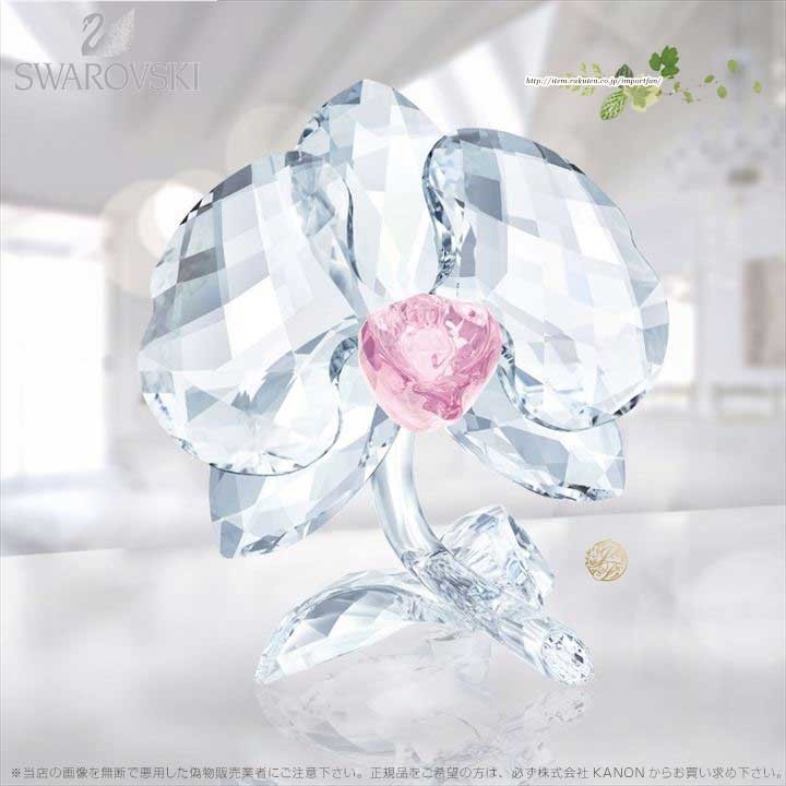 SWAROVSKI スワロフスキー オーキッド 花 5301562 Swarovski