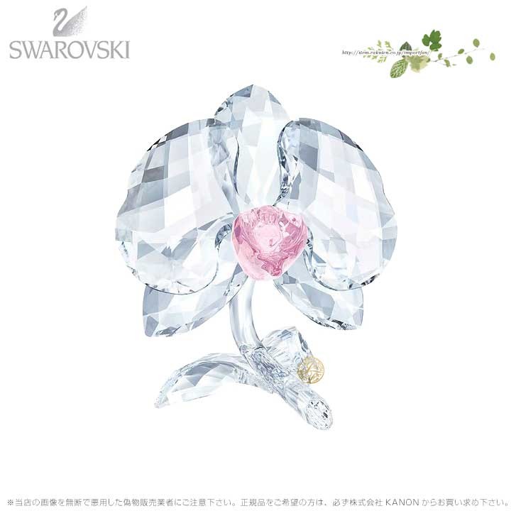 スワロフスキー花 SWAROVSKI（スワロフスキー） オーキッド 花 5301562 Swarovski