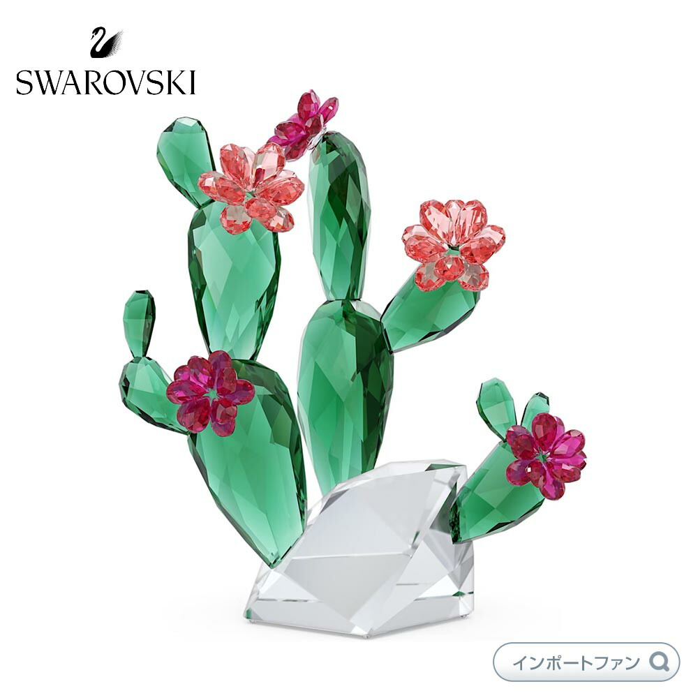 SWAROVSKI（スワロフスキー） クリスタル・フラワーズ サボテン