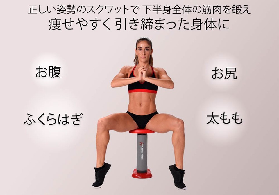 ジムフォーム スクワット ダイエット 器具 パーフェクト スクワットマシン 椅子 腹筋 トレーニング 筋トレ 下半身 ぽっこりお腹 お尻 太もも ヒップアップ Dm142 セレクトショップmomo 通販 Yahoo ショッピング