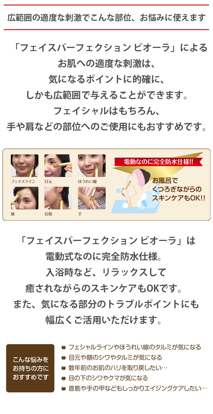美顔器 電動美顔器 美顔ローラー フェイスパーフェクション