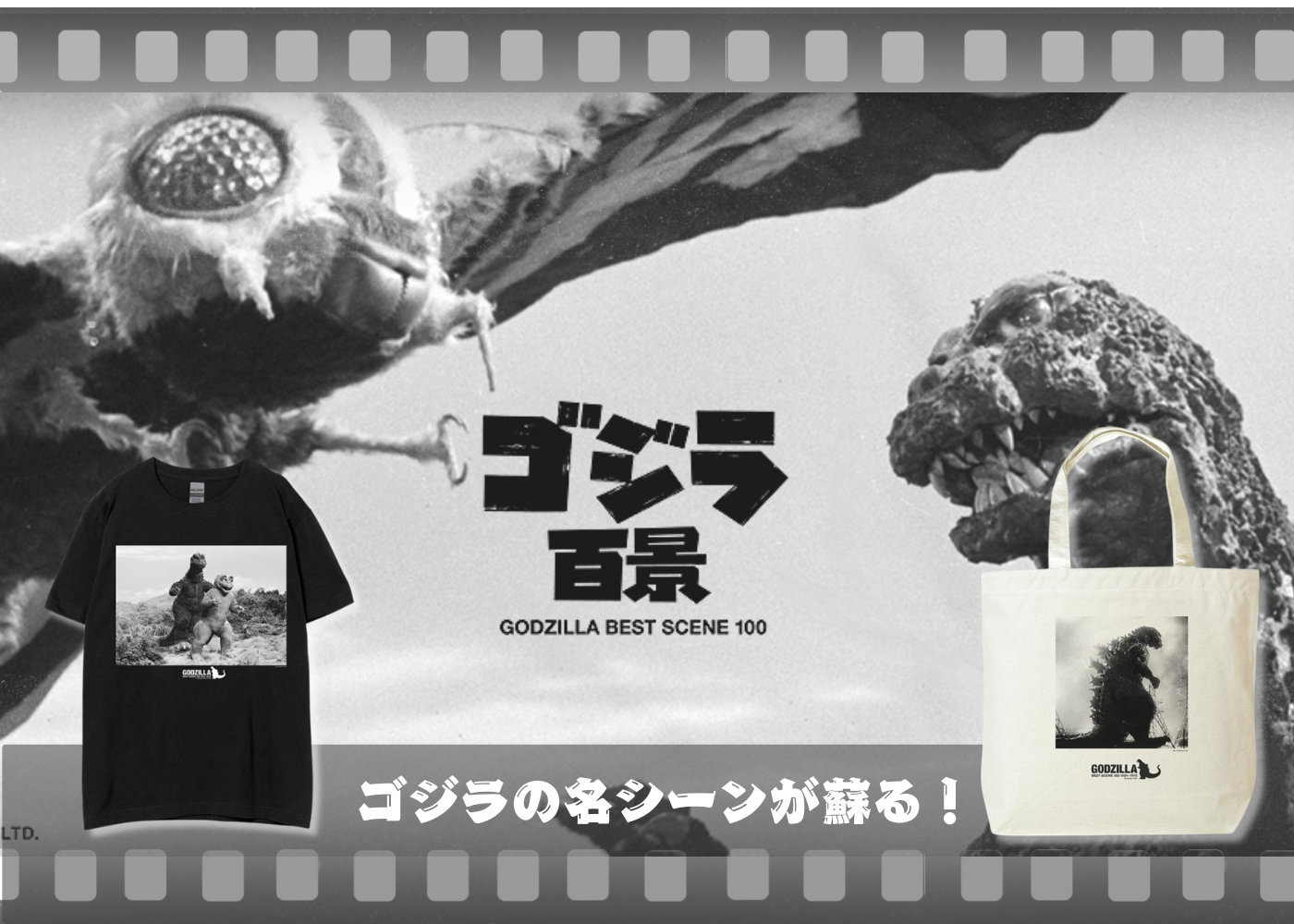 IMP Store - Yahoo!ショッピング
