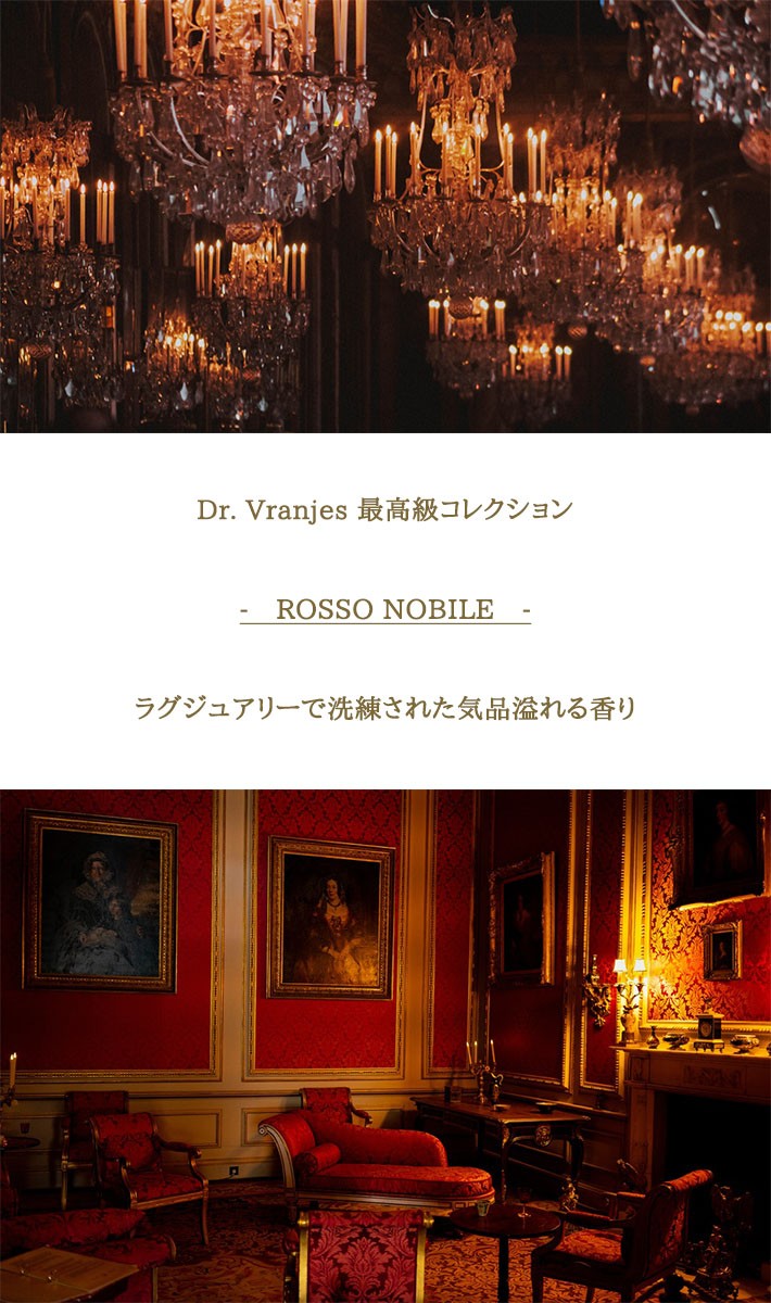 ドットール・ヴラニエス Dr. Vranjes ディフューザー250ml+キャンドル200gセット ROSSO NOBILE ロッソ ノービレ  :drvgift20e16-250ml-200g:INSTORE インストア - 通販 - Yahoo!ショッピング