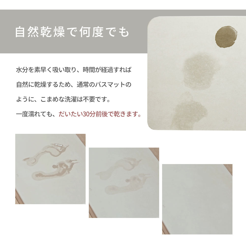 SOIL（ソイル） 珪藻土バスマット ラージ BATH MAT large 母の日