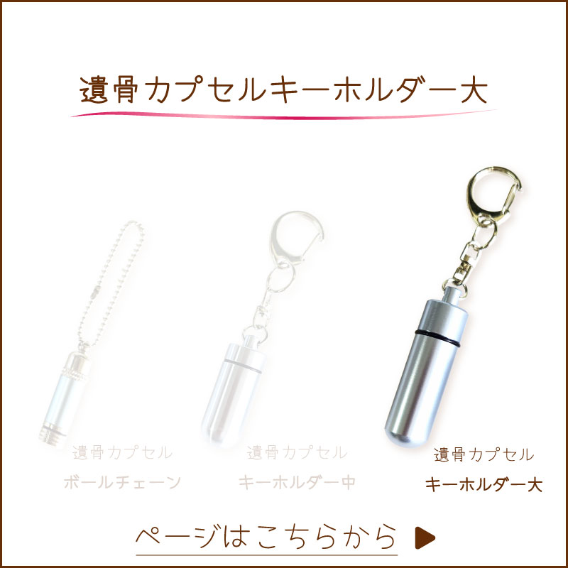 遺骨カプセルチェーン大へ