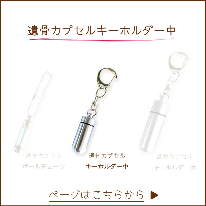 遺骨カプセルチェーン中へ