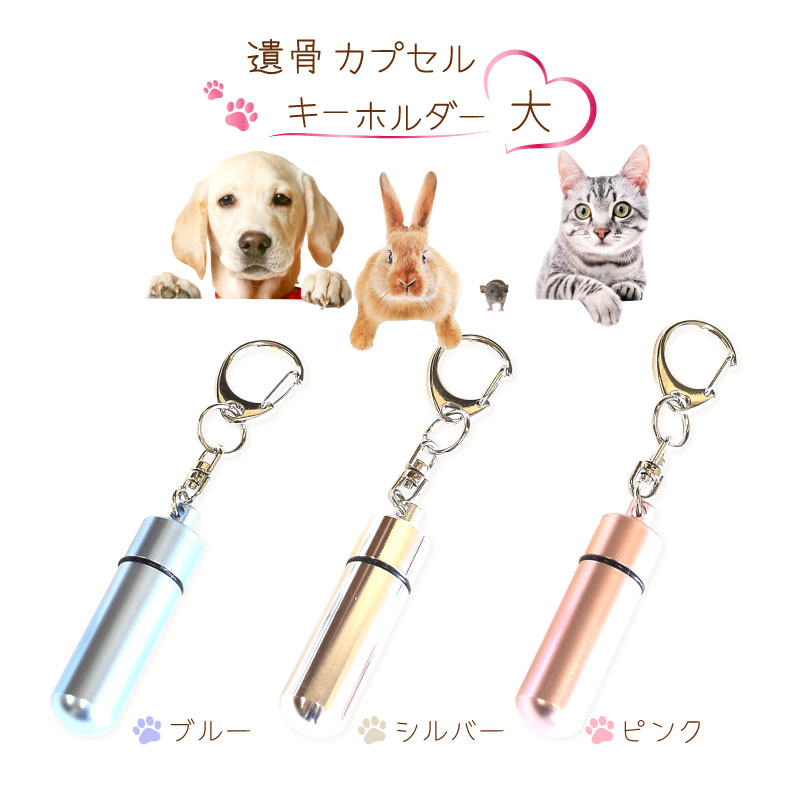 遺骨カプセル大