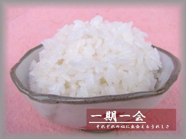 6年産　熊本県産☆ヒノヒカリ玄米25ｋｇ/精米無料