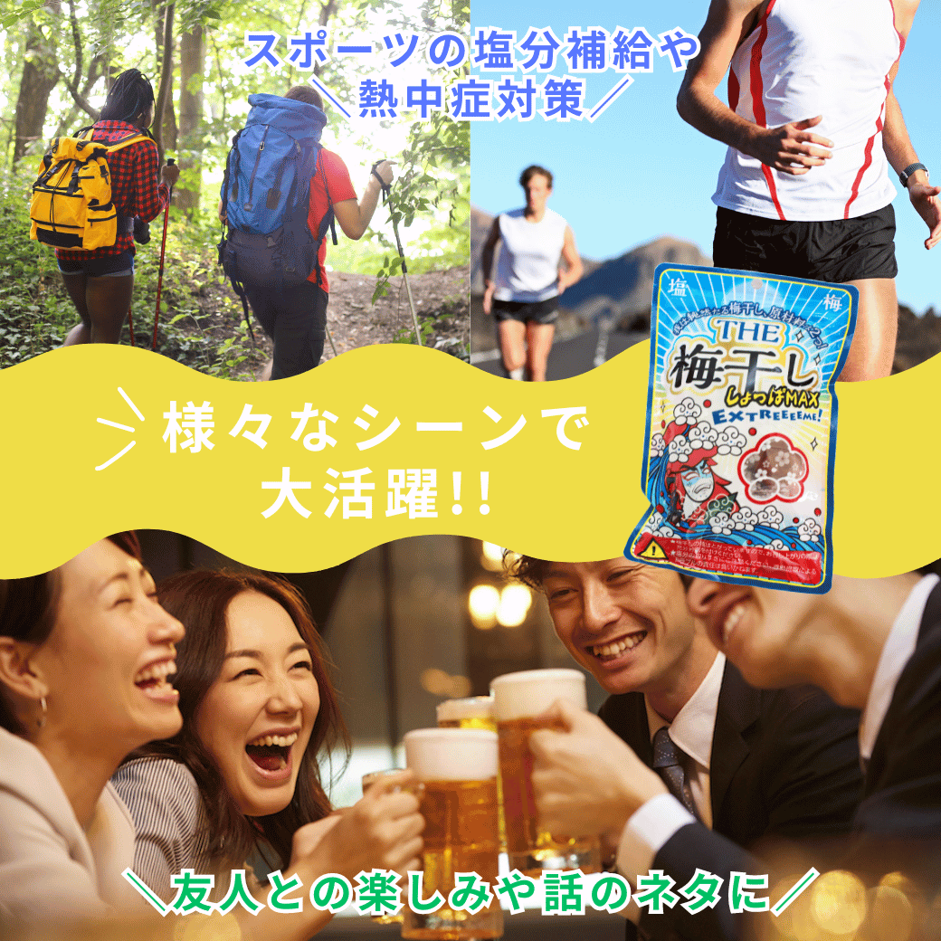 梅干し 持ち運べる！ 個包装 超塩辛いしょっぱい梅干し THE 梅干ししょっぱMAX 白干 小袋 塩分約20％ 500g （100g×5） 塩分補給 ミネラル補給 熱中症対策 | いなみの里梅園 | 04