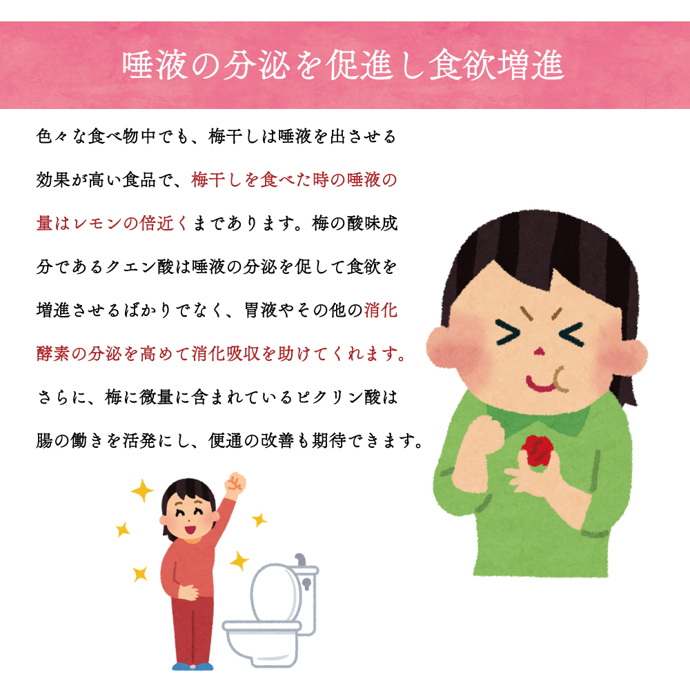 梅干し 持ち運べる！ 個包装 超塩辛いしょっぱい梅干し THE 梅干ししょっぱMAX 白干 小袋 塩分約20％ 500g （100g×5） 塩分補給 ミネラル補給 熱中症対策 | いなみの里梅園 | 06
