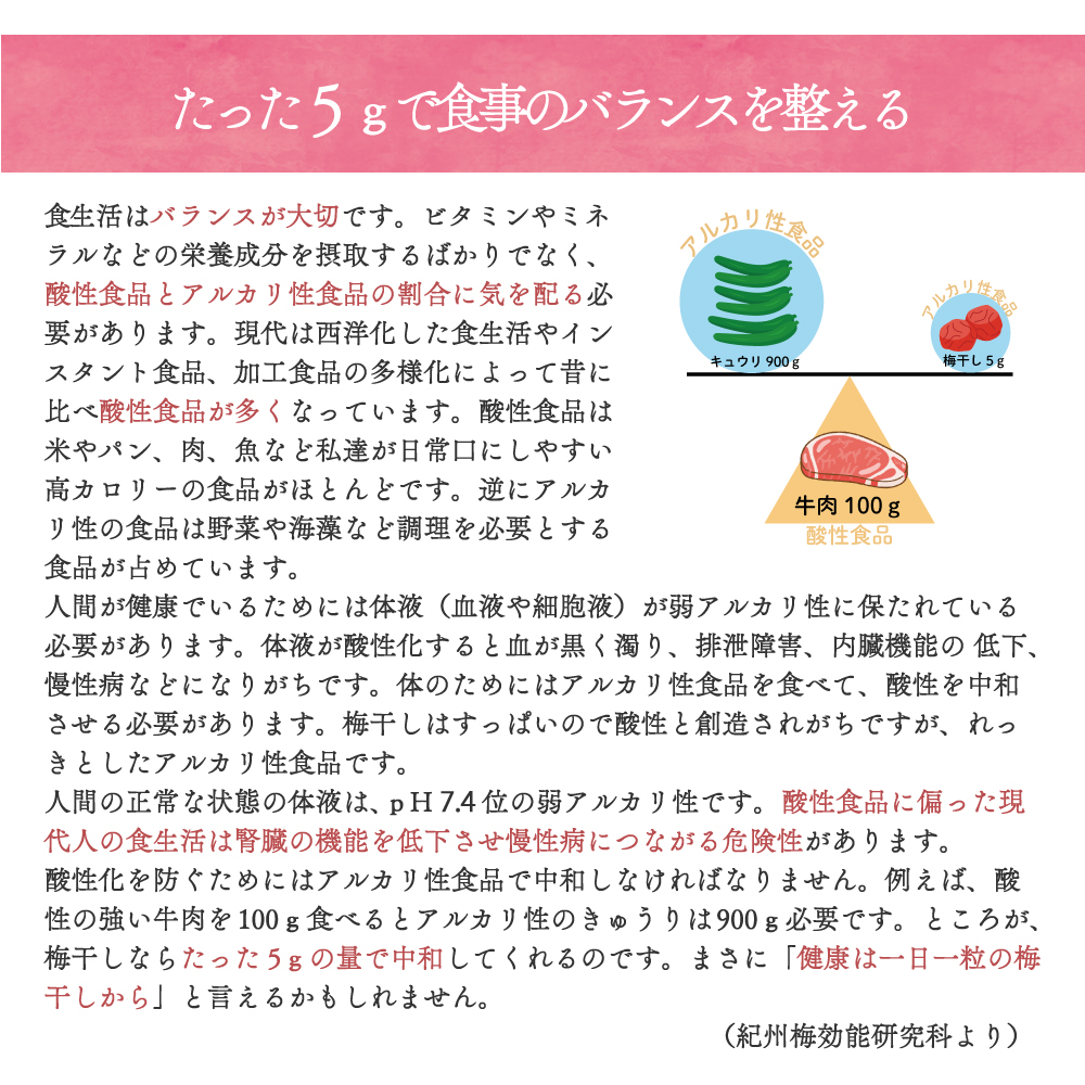 梅干し 持ち運べる！ 個包装 超塩辛いしょっぱい梅干し THE 梅干ししょっぱMAX 白干 小袋 塩分約20％ 500g （100g×5） 塩分補給 ミネラル補給 熱中症対策 | いなみの里梅園 | 07
