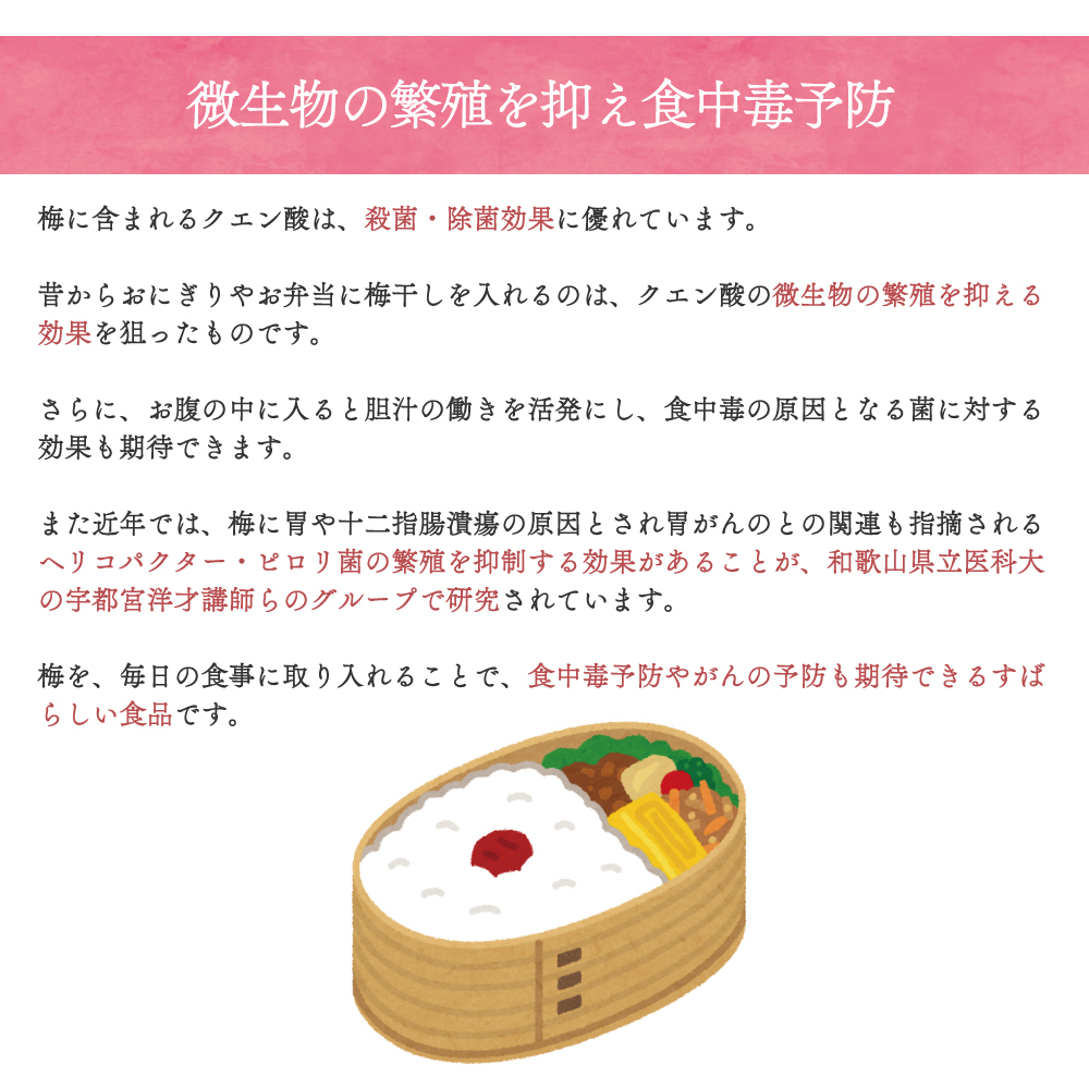 梅干し 持ち運べる！ 個包装 超塩辛いしょっぱい梅干し THE 梅干ししょっぱMAX 白干 小袋 塩分約20％ 500g （100g×5） 塩分補給 ミネラル補給 熱中症対策 | いなみの里梅園 | 09