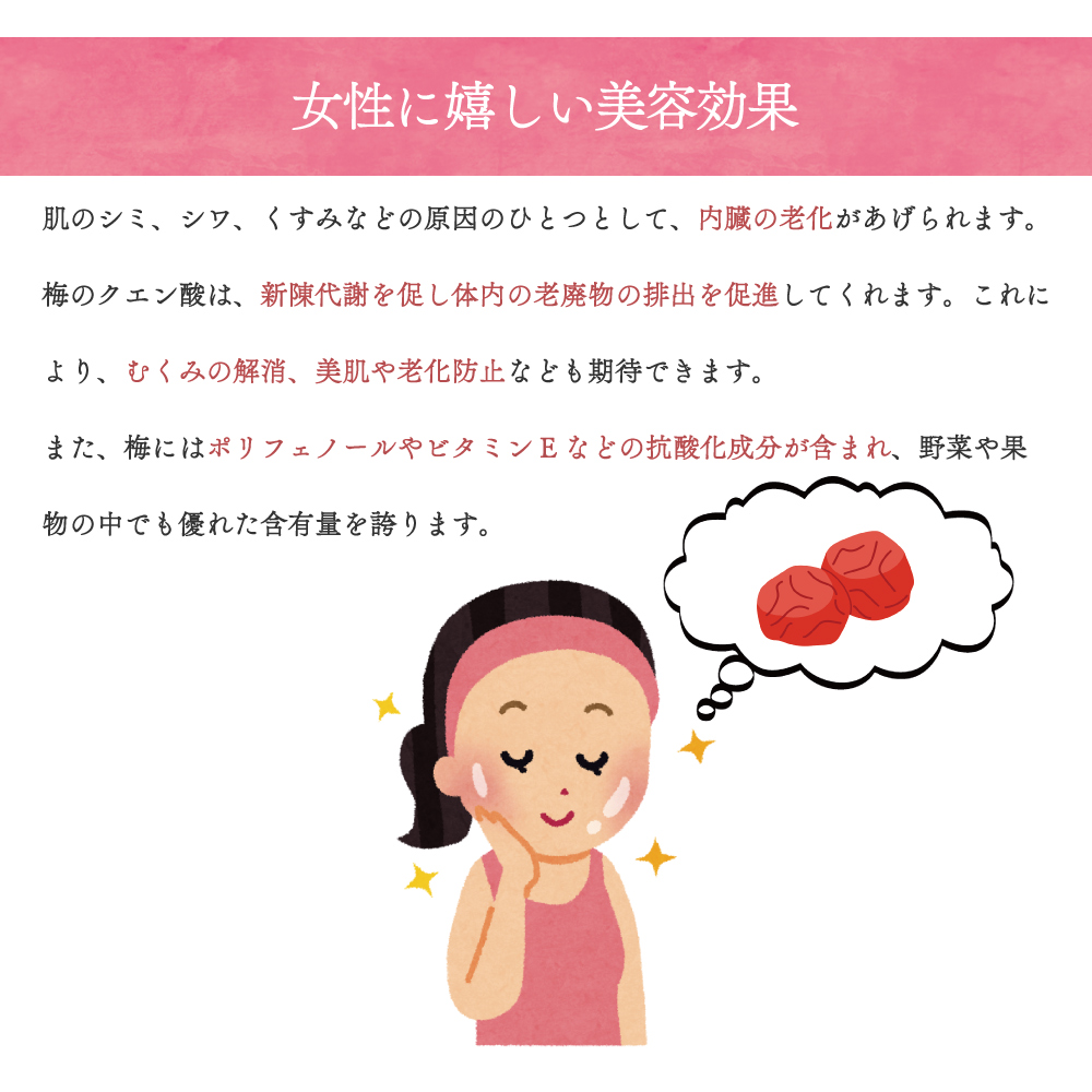 梅干し 持ち運べる！ 個包装 超塩辛いしょっぱい梅干し THE 梅干ししょっぱMAX 白干 小袋 塩分約20％ 500g （100g×5） 塩分補給 ミネラル補給 熱中症対策 | いなみの里梅園 | 10