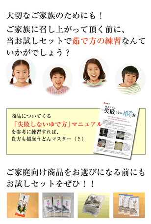 稲庭うどん お試しセット1