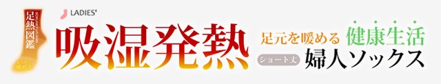 吸湿発熱　婦人　薄手　ソックス　冷え取り　靴下