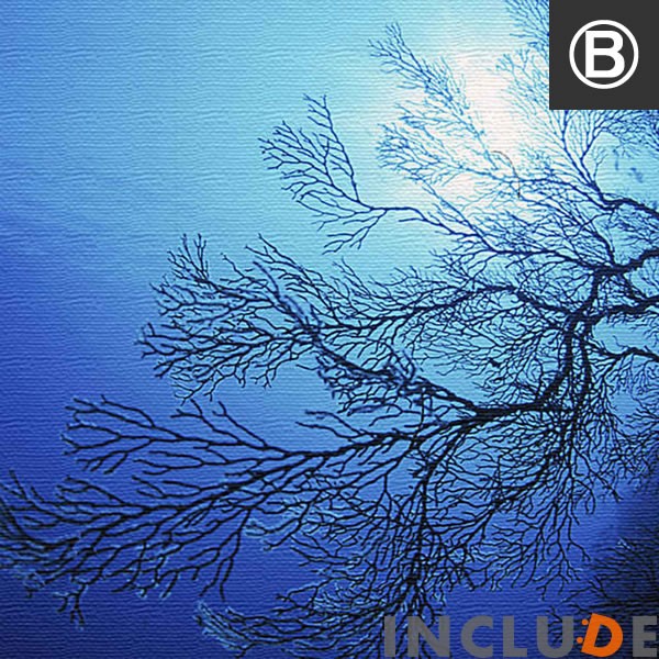 アートパネル ファブリックボード 楠哲也 海 南国 波打ち際 砂浜 ビーチ さんご 珊瑚 アイランド 島 ダイビング 海中 海底 表現力 熱帯魚 水中カメラ 個性 |  | 02